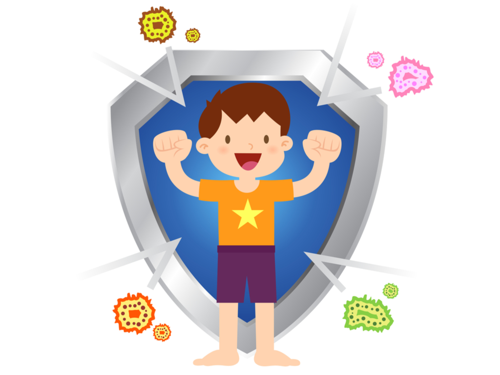 Naturalne środki immunostymulujące pozyskuje się z grzybów bakterii oraz roślin (fot. Shutterstock).