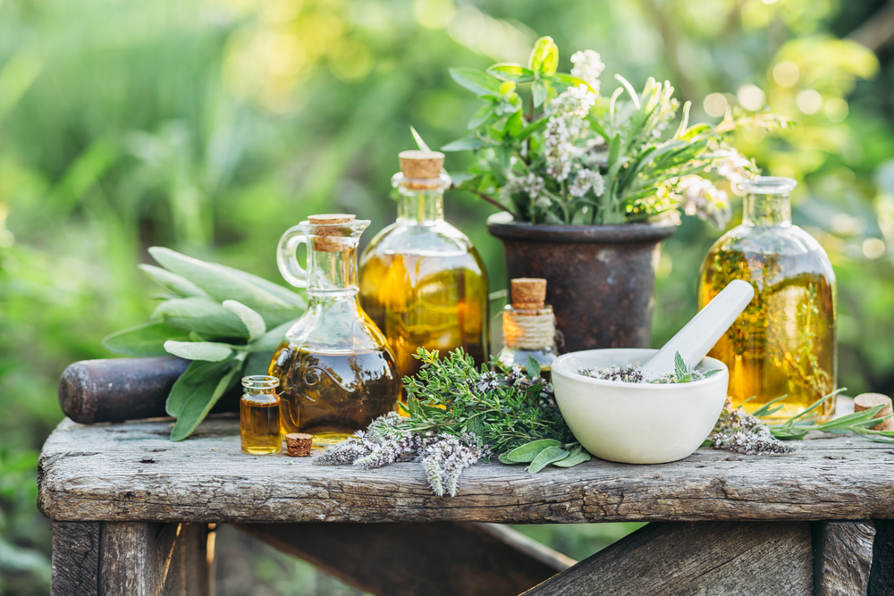 Na zaburzenia miesiączkowania stosuje się wiele ziół (fot. Shutterstock).